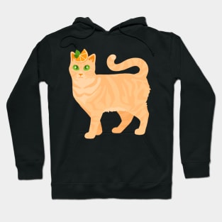 Orange Sherbet Cat Hoodie